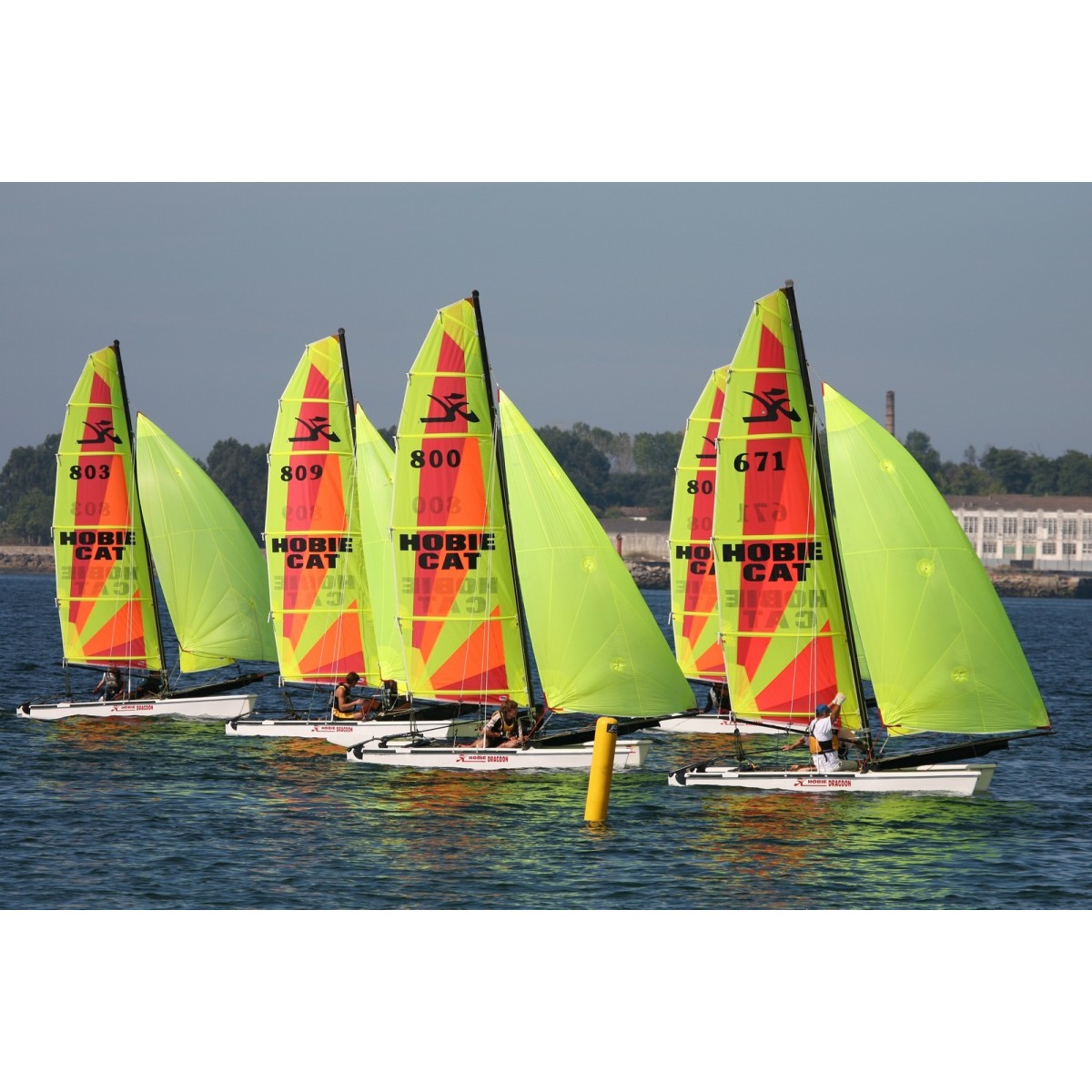 Hobie Dragoon club – Image 3