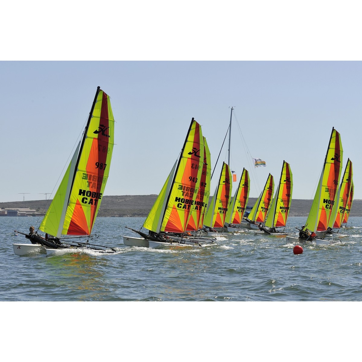 Hobie Dragoon club – Image 4