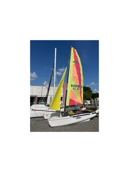 Hobie cat Dragoon Occasion