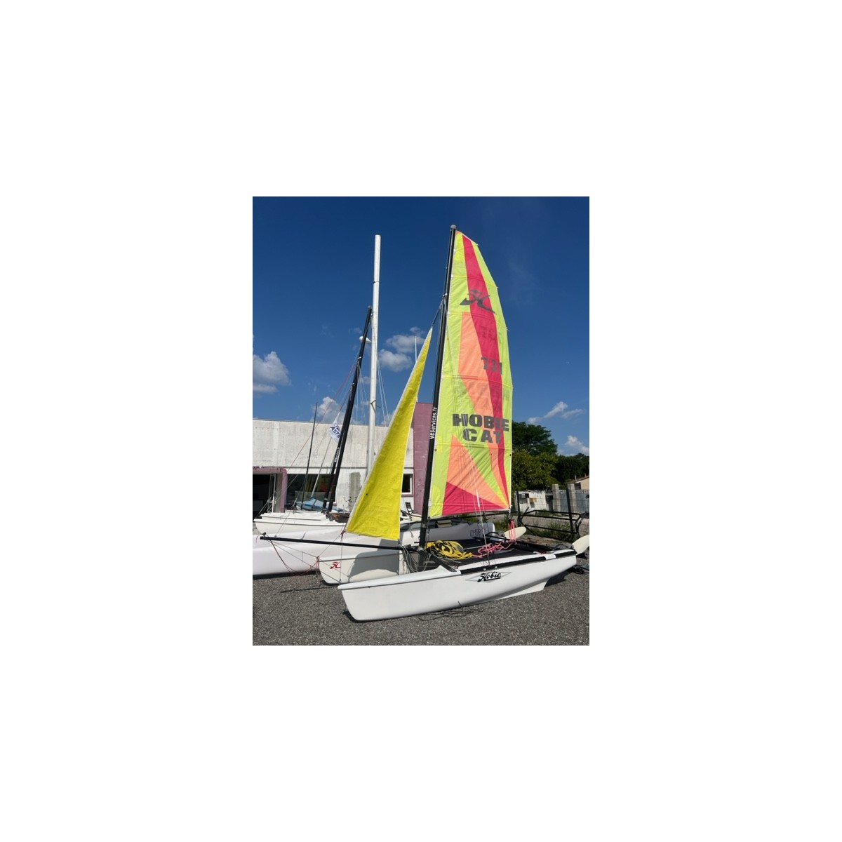 Hobie cat Dragoon Occasion